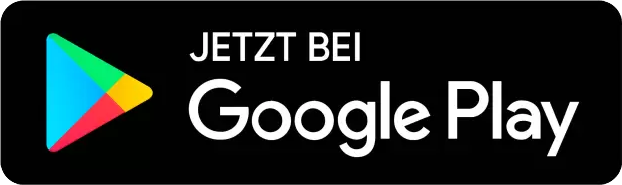 Google Play Store Logo
