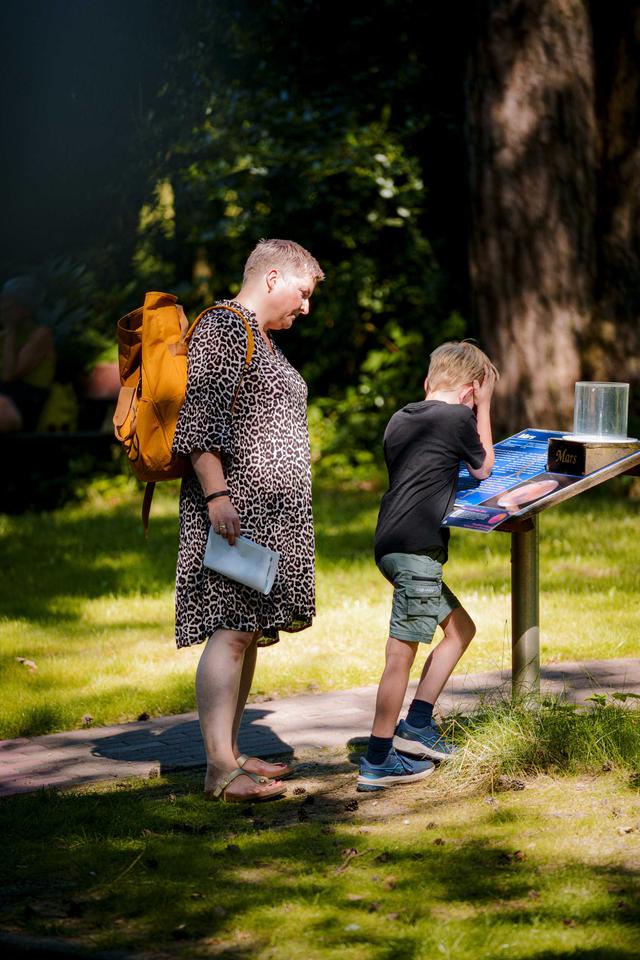 Rückblick Foto Sternstunden Festival 2024